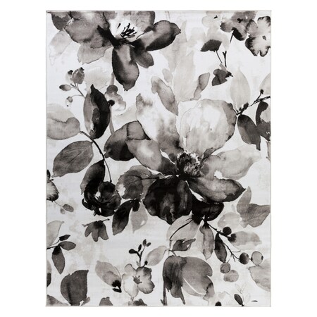 Surya Nova - 7'8 X 10'6" Area Rug" NVA3013-78106